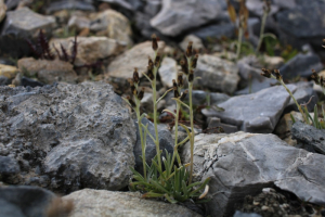 JeanLoupBenoit, le  6 août 2022 (Tignes)