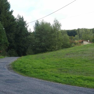 Photographie n°2541458 du taxon Spiranthes spiralis (L.) Chevall.
