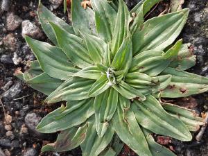 Christine Jourdan, le 16 novembre 2022 (Beaumont)