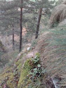  , le 29 novembre 2022 (Coubon)