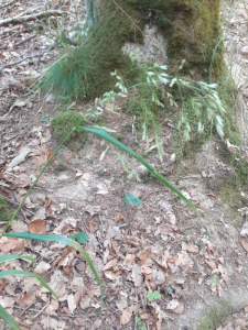 Jean Marc Ringenbach, le 20 juin 2022 (Bourbach-le-Haut)