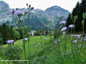 Dominique Duveau, le 16 juillet 2018 (Pralognan-la-Vanoise)