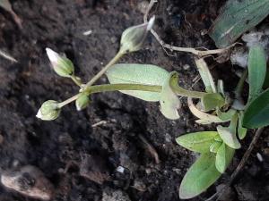 Christine Jourdan, le 16 mars 2023 (Beaumont)