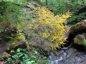 Alain Bigou, le 13 mai 2022 (Aubazine (Coiroux))
