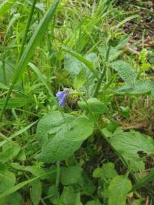 Benoit Morin, le 26 mai 2023 (Betton)