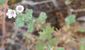 sugar33, le  8 juin 2023 (France métropolitaine)