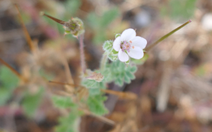 sugar33, le  8 juin 2023 (France métropolitaine)