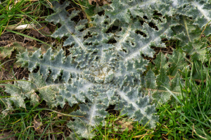 Jean-Jacques Houdré, le  7 mars 2023 (Saint-Just-Saint-Rambert)