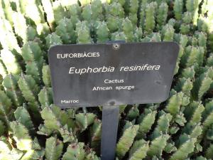 Alain Bigou, le 31 octobre 2022 (Barcelone (Montjuïc))