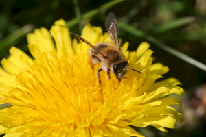 Barbara Mai, le 23 mars 2022 (La Mézière)