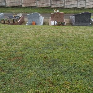 Photographie n°2761979 du taxon Spiranthes spiralis K.Koch [1849]