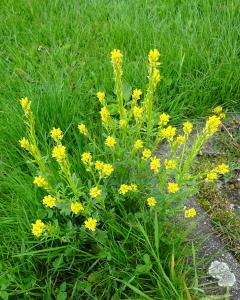 Alain Bigou, le 18 mai 2023 (Dienne (Sous la Grange))