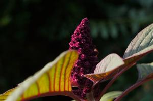 AzucenaMAHUTEAU, le 17 mars 2024 (Thiers (Rue du rochers))