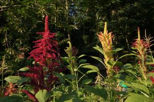 AzucenaMAHUTEAU, le 17 mars 2024 (Thiers (Rue du rochers))