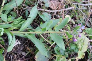 Bernard Legendre, le 15 mars 2024 (Ambérieu-en-Bugey)