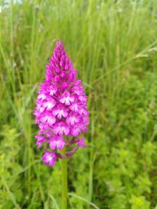 Guillaume Claes, le 28 mai 2024 (Changé)