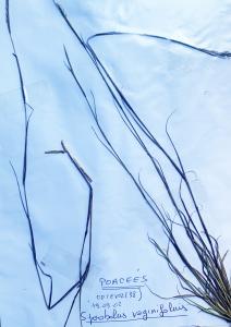 Liliane Roubaudi, le 18 septembre 2002 (Optevoz)