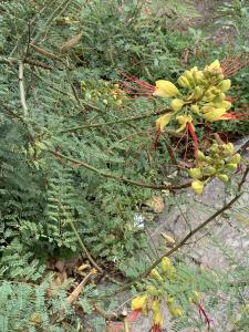 Liliane Roubaudi, le 27 septembre 2024 (Lyon)