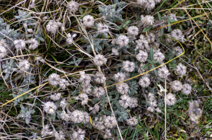 Jean-Jacques Houdré, le 19 novembre 2023 (Hures-la-Parade)