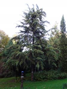 Alain Bigou, le  8 novembre 2023 (Ayen (La Tuillière))