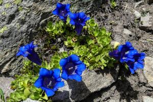 Jean-Louis Gitton, le 12 juillet 2021 (Saint-Sorlin-d'Arves)