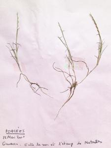 Liliane Roubaudi, le 22 mai 2001 (Gruissan)