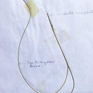 Photographie n°3129276 du taxon Carex divisa Huds. [1762]