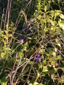 Patrick Ressayre, le 23 février 2025 (Bourg-Saint-Andéol)