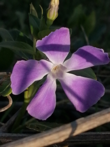 Patrick Ressayre, le 23 février 2025 (Bourg-Saint-Andéol)