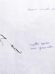 Liliane Roubaudi, le 19 avril 2004 (La Teste-de-Buch)