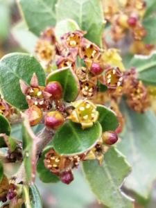 Patrick Ressayre, le 23 mars 2025 (Bourg-Saint-Andéol)