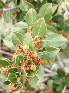Patrick Ressayre, le 23 mars 2025 (Bourg-Saint-Andéol)