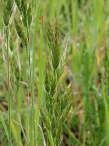 Patrick Ressayre, le 23 mars 2025 (Bourg-Saint-Andéol)