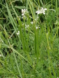 Patrick Ressayre, le 23 mars 2025 (Bourg-Saint-Andéol)
