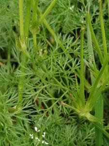 Patrick Ressayre, le 23 mars 2025 (Bourg-Saint-Andéol)