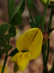 Patrick Ressayre, le 29 mars 2025 (Saint-Alban-Auriolles)