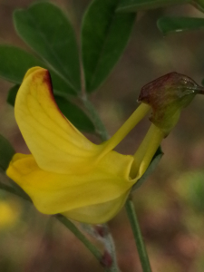 Patrick Ressayre, le 29 mars 2025 (Saint-Alban-Auriolles)