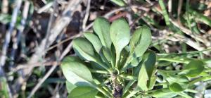 Bernard Legendre, le  6 avril 2025 (Oncieu)