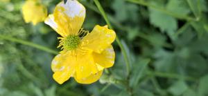 Bernard Legendre, le 22 avril 2025 (Château-Gaillard)