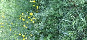 Bernard Legendre, le 22 avril 2025 (Château-Gaillard)