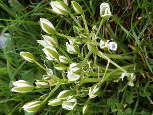 Christine Jourdan, le 23 avril 2025 (Beaumont)