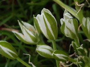 Christine Jourdan, le 23 avril 2025 (Beaumont)