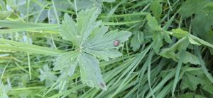 Bernard Legendre, le 30 mars 2025 (Château-Gaillard)