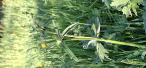 Bernard Legendre, le 30 mars 2025 (Château-Gaillard)