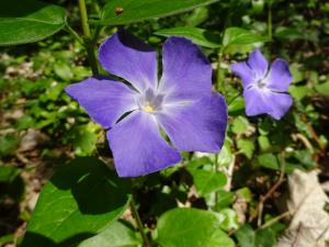 Dominique Remaud, le 30 mars 2025 (Limay)