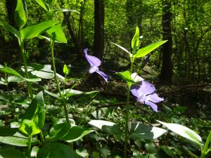 Dominique Remaud, le 30 mars 2025 (Limay)