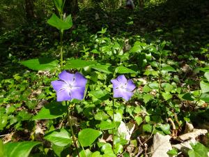 Dominique Remaud, le 30 mars 2025 (Limay)