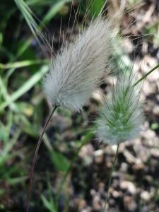 Patrick Ressayre, le 17 mai 2025 (Vaulx-en-Velin)