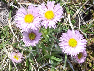 TimOTHY, le  7 juin 2025 (Mantet)