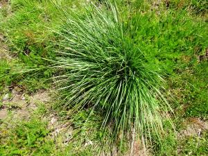 Alain Bigou, le 11 juillet 2024 (Эль-Серрат (El Serrat ))